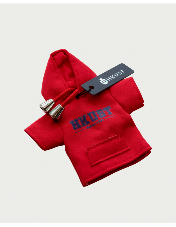 Mini Hoodies Key Holder